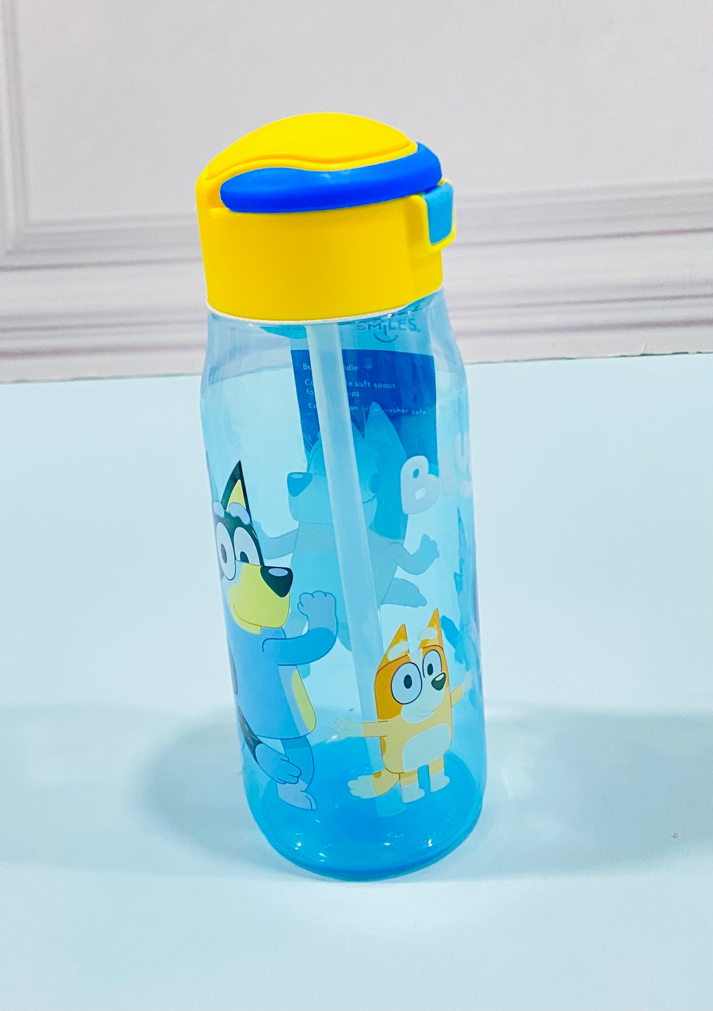 Bote termo Bluey plastico 17onz ZAK