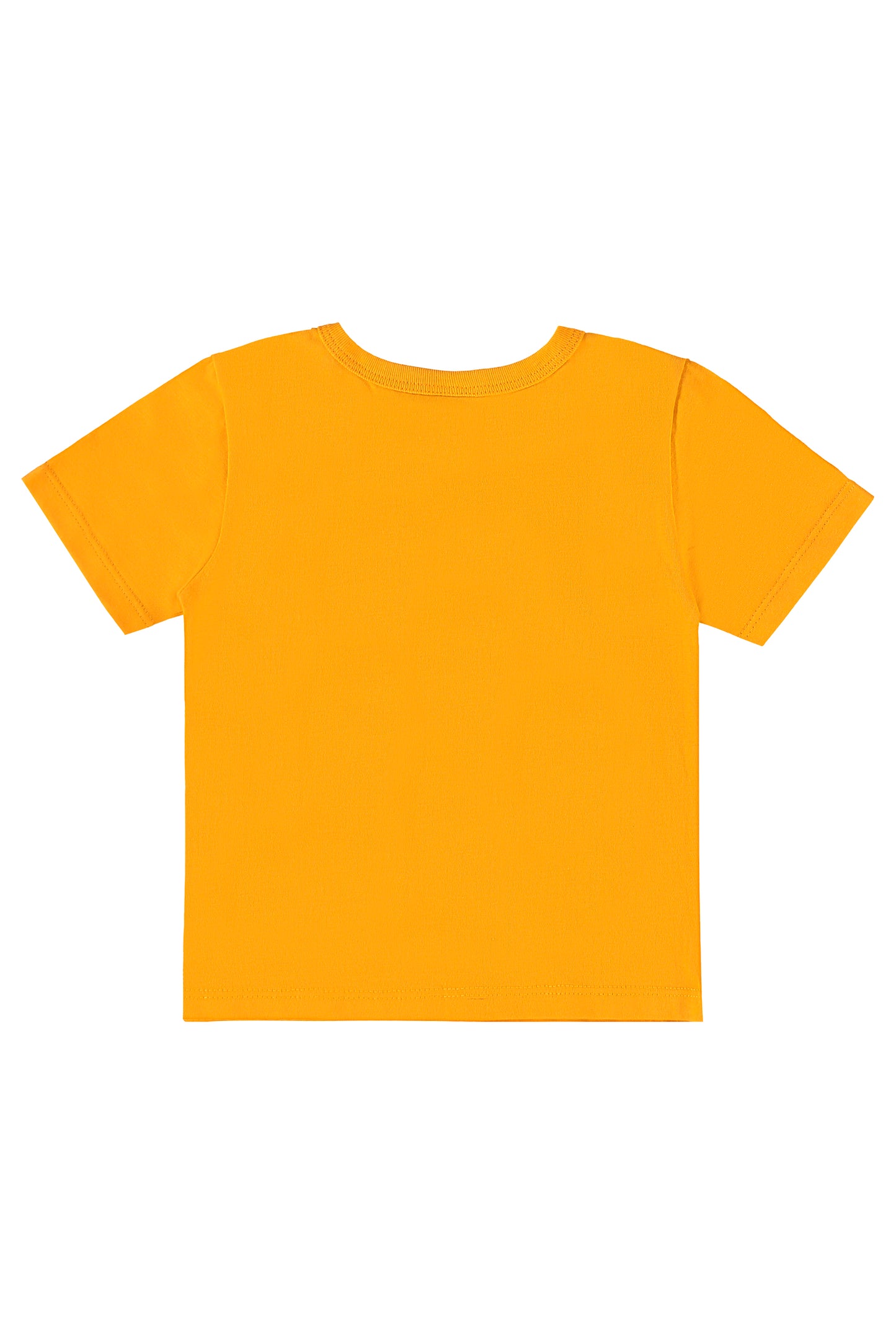 Set bebe niño animales dinosaurios Conjunto camisa amarilla short negro Bee loop 17999 - 150955