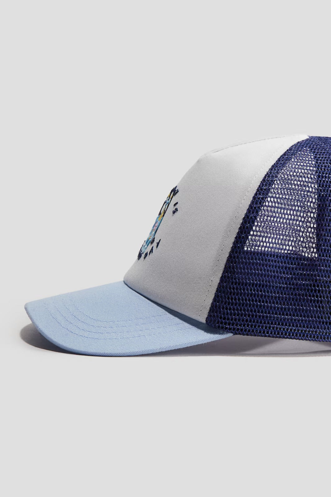 Gorra azul bluey niño H&M 1284757