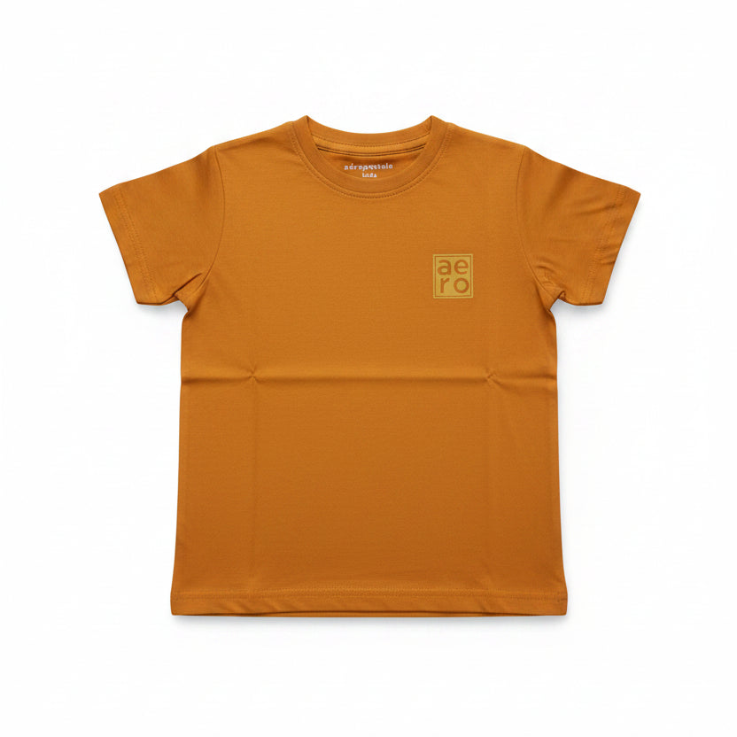 Camisa cafe niño AEROPOSTALE 3101
