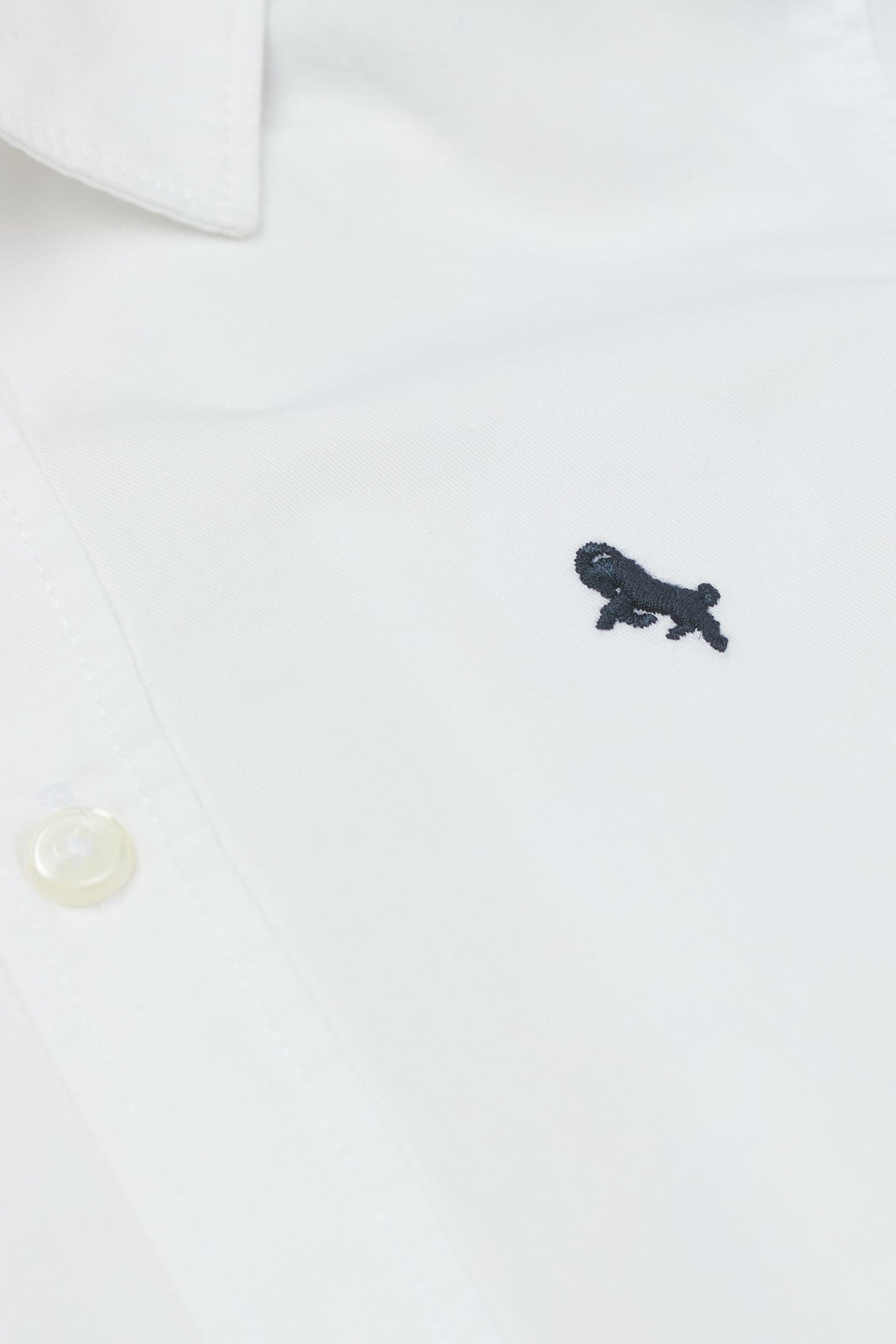 Camisa blanca formal niño H&M