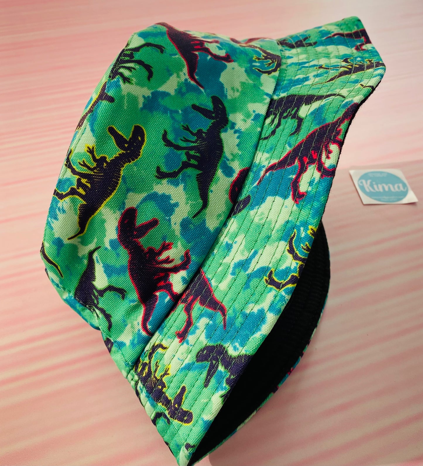 Sombrero verde dinosaurio