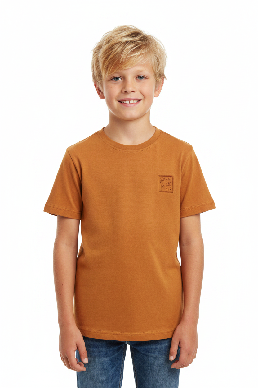 Camisa cafe niño AEROPOSTALE 3101