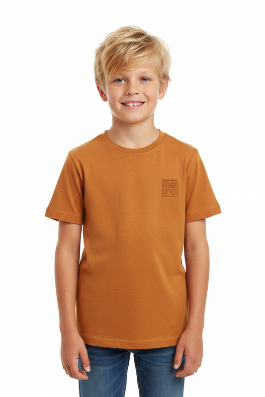 Camisa cafe niño AEROPOSTALE 3101
