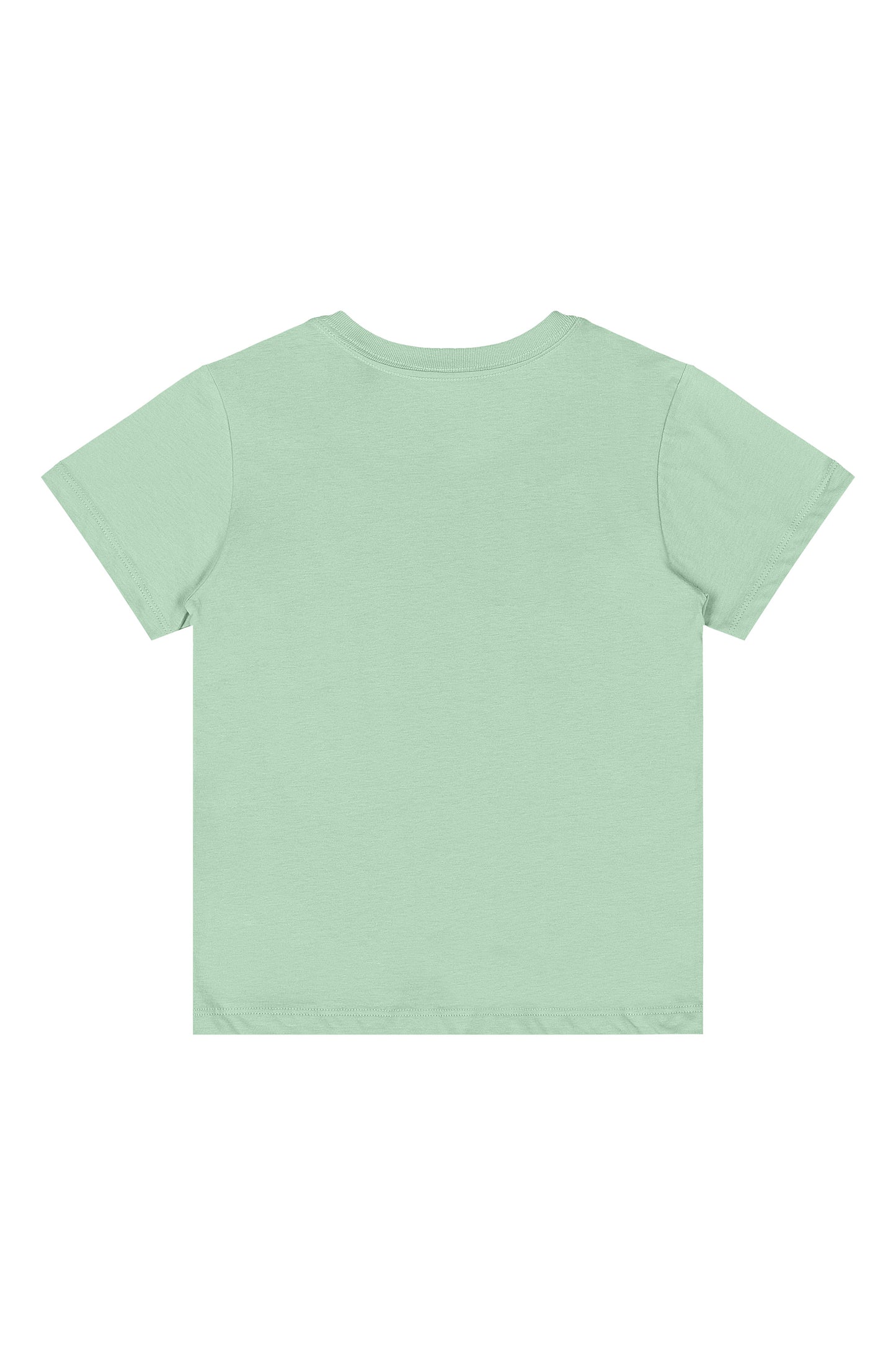 Camisa verde claro niño Quimby 34479-136007