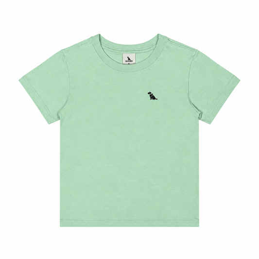 Camisa verde claro niño Quimby 34479-136007