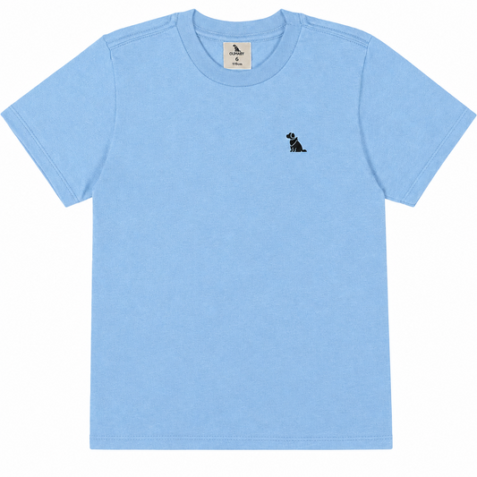 Camisa azul cielo niño Quimby 34479-144123