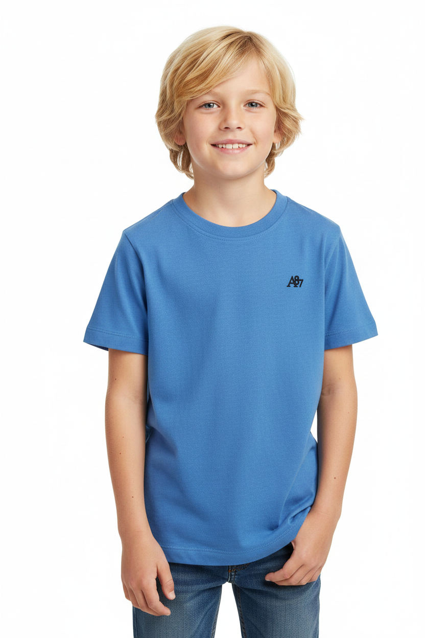 Camisa azul niño Aeropostale AYJ48435KG