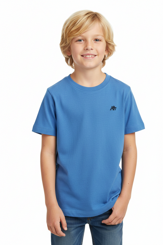 Camisa azul niño Aeropostale AYJ48435KG