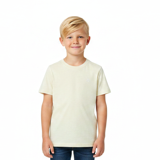 Camisa nude beige niño Aeropostale AYJ48435M-AYB48435MG