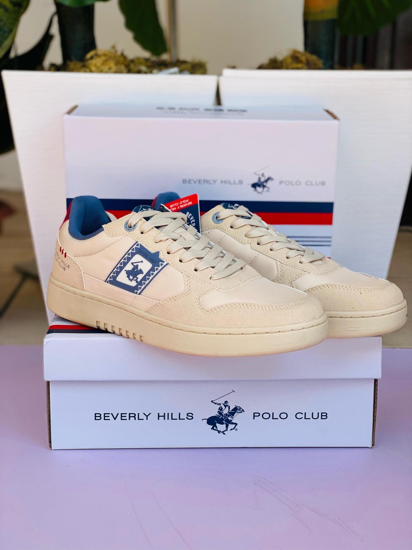 Tenis Polo club Beige hombre HOG-BG-M5-A