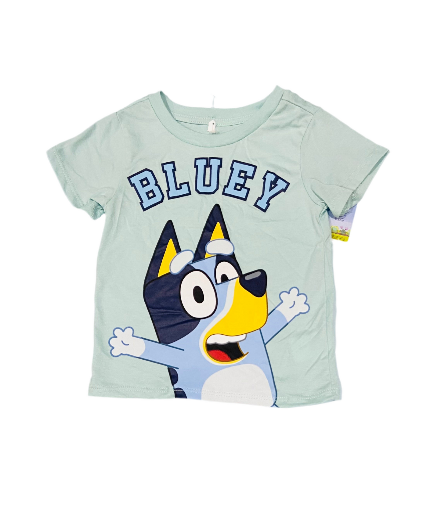 Camisa verde bluey niño niña