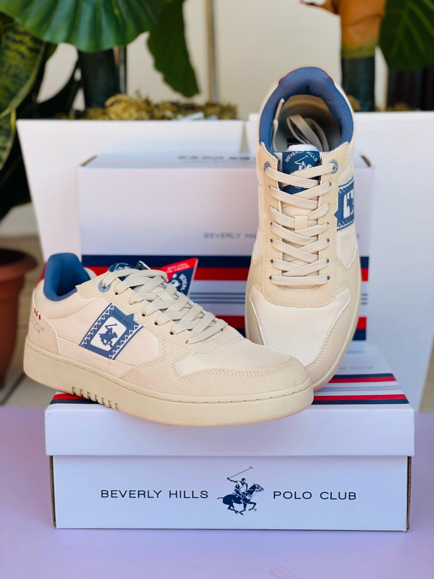 Tenis Polo club Beige hombre HOG-BG-M5-A