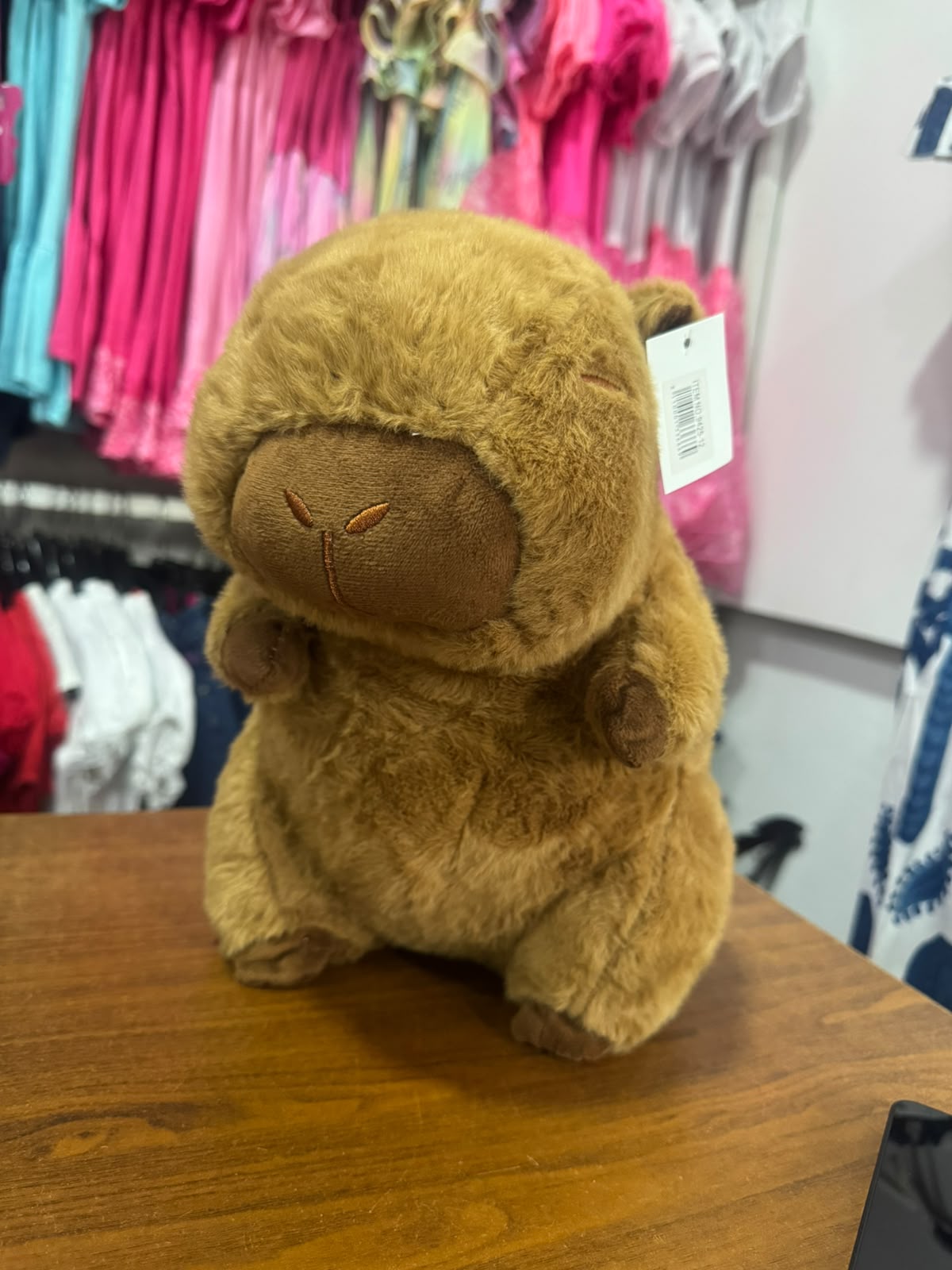 Juguete Peluche Capibara 9425-12